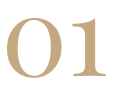 40+ Years of Experience